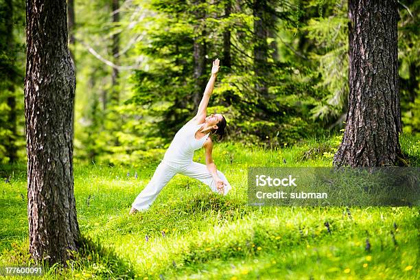 Photo libre de droit de Méditer Dans Les Bois banque d'images et plus d'images libres de droit de Yoga - Yoga, Bois, Guerrier urbain