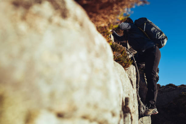 istock Woman hiking outdoors on a rocky coast, in Norway 1776011119