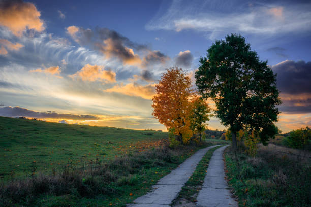 istock Beautiful landscape with autumn trees at sunset. Poland 1776032348