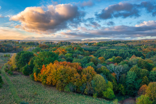 istock Beautiful landscape with autumn trees at sunset. Poland 1776032350