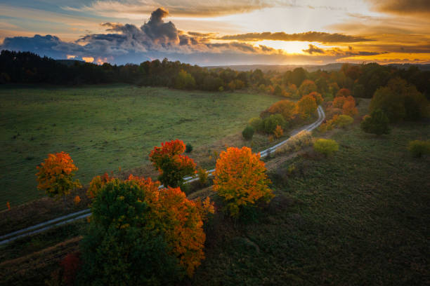 istock Beautiful landscape with autumn trees at sunset. Poland 1776032910
