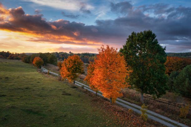 istock Beautiful landscape with autumn trees at sunset. Poland 1776032926