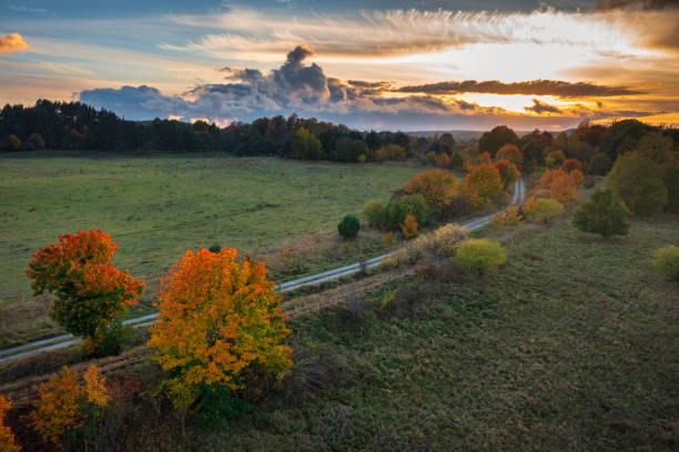 istock Beautiful landscape with autumn trees at sunset. Poland 1776032929