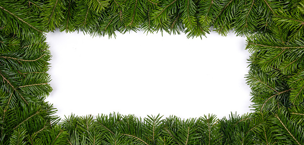 Natural fir Christmas tree border frame isolated on white , copy space for text