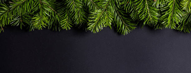 istock Christmas fir tree on black background 1776043423