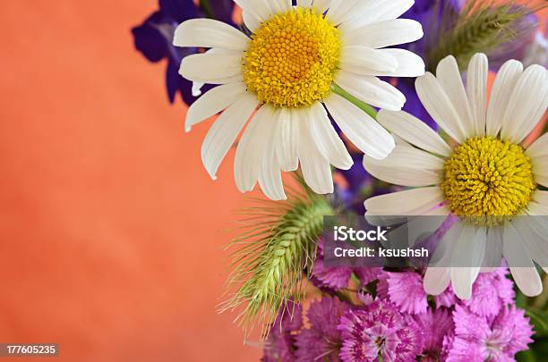 Bouquet De Flores Silvestres - Fotografias de stock e mais imagens de Amarelo - Amarelo, Amor, Ao Ar Livre