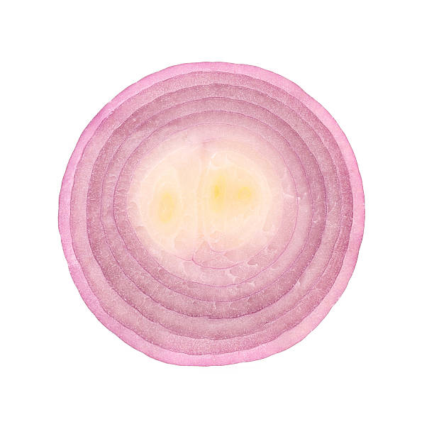 istock Slice of red onion. 177605853