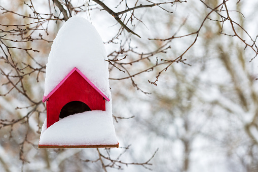 A small red birdhouse covered with a layer of snow in winter with a copy space.