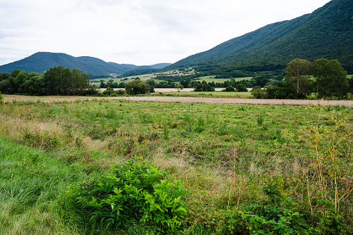 Slovak meadow