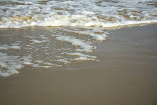 istock Plage du Sillon in Saint-Malo - foam 1776068684
