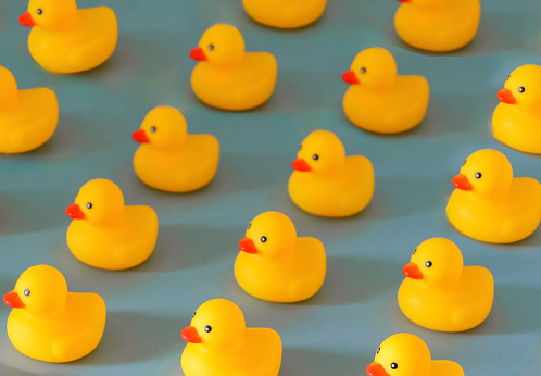 A community of yellow rubber ducks in rows on blue background wallpaper, get ones ducks in a row, organisation concept