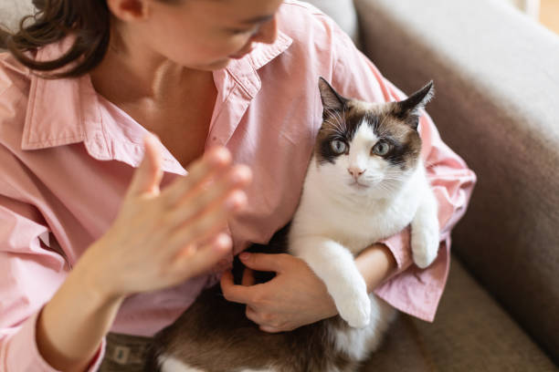 istock Young woman having fun playing with cat sitting at home 1776134166