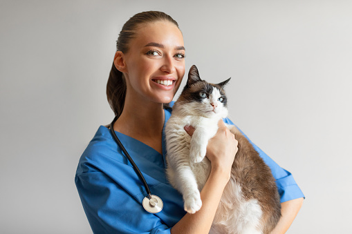A Caucasian female veterinarian is indoors at a pet clinic. She is wearing medical clothing. She is giving a vaccine to a cute black-and-white cat.