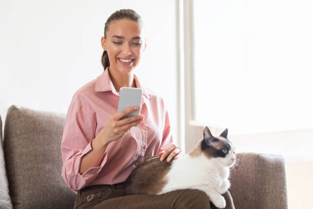 istock Happy Woman With Cat On Lap Texting Via Phone Indoor 1776134792