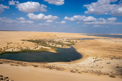 Fayoum desert and oasis  in Egypt