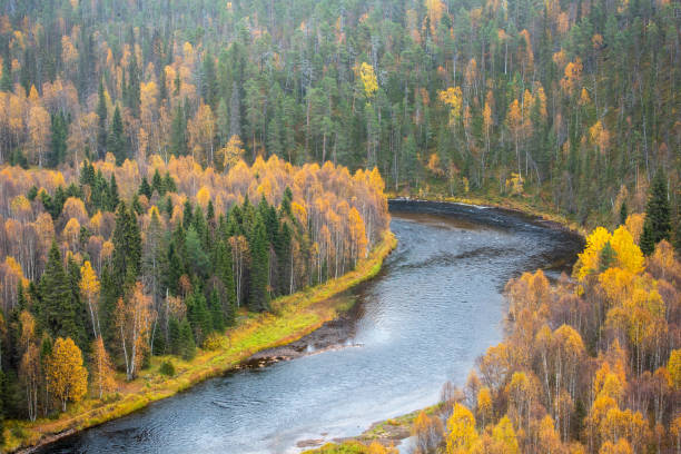 istock Kitkajoki river in Oulanka National Park 1776156115