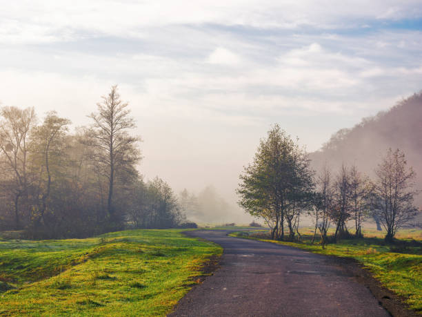 istock country road through rural valley in morning light 1776156130