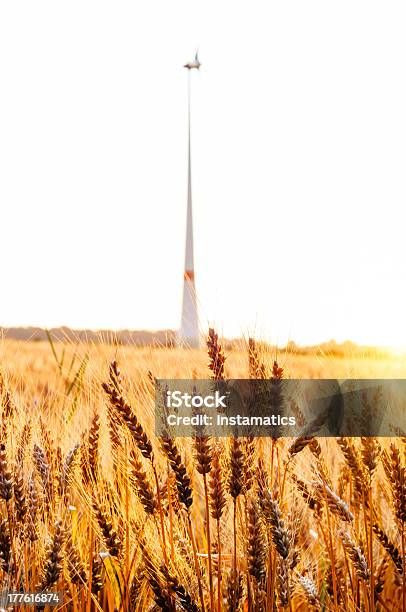 Foto de Grainfield Ao Pôrdosol Com Defocused Turbina Eólica e mais fotos de stock de Agricultura