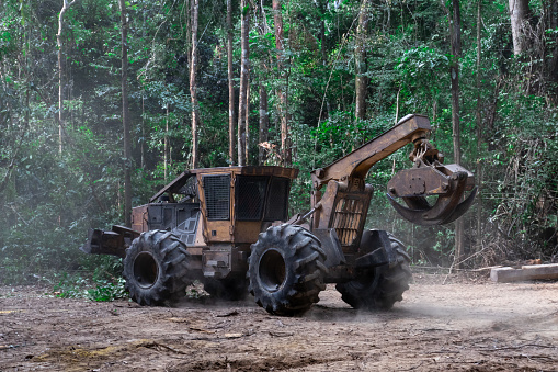 Skidder machine used for dragging logs in Amazon forest