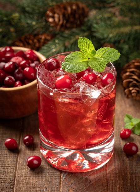 cranberry cocktail with fresh cranberries and mint - cranberry juice imagens e fotografias de stock