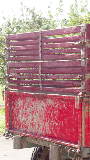 istock Back of a rustic truck 1776187492