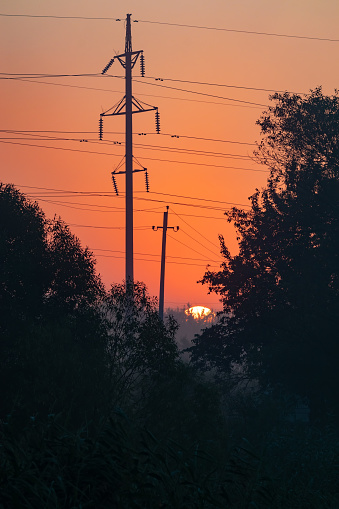 Sunrise and orange sky against the backdrop of high-flying overhead power lines and trees. Summer landscape