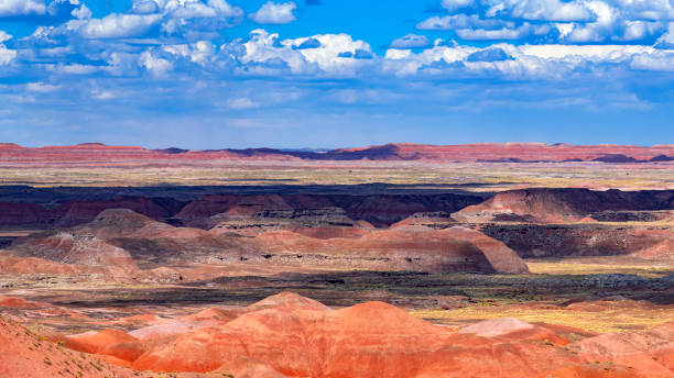 istock Painted Desert National Park 1776202398