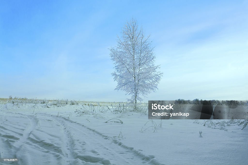 Paesaggio invernale con albero - Foto stock royalty-free di Alba - Crepuscolo