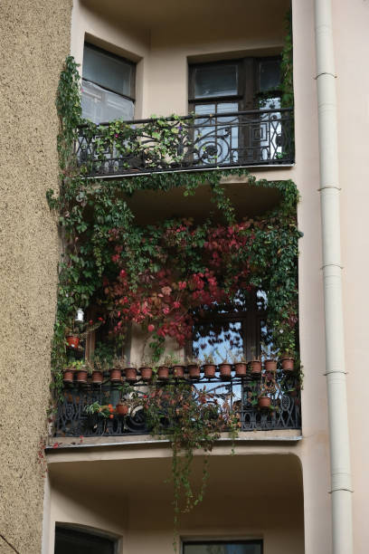 istock balcony with carved lattice and flowers 1776214879
