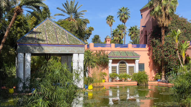 Bamboo, palm trees, bougainvillea and colourful buildings
