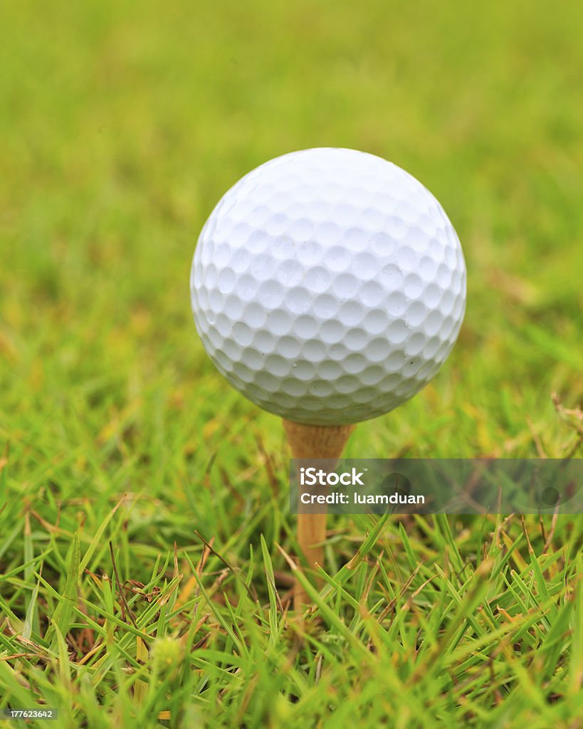 Macro shot of golf ball en madera en T - Foto de stock de Aire libre libre de derechos