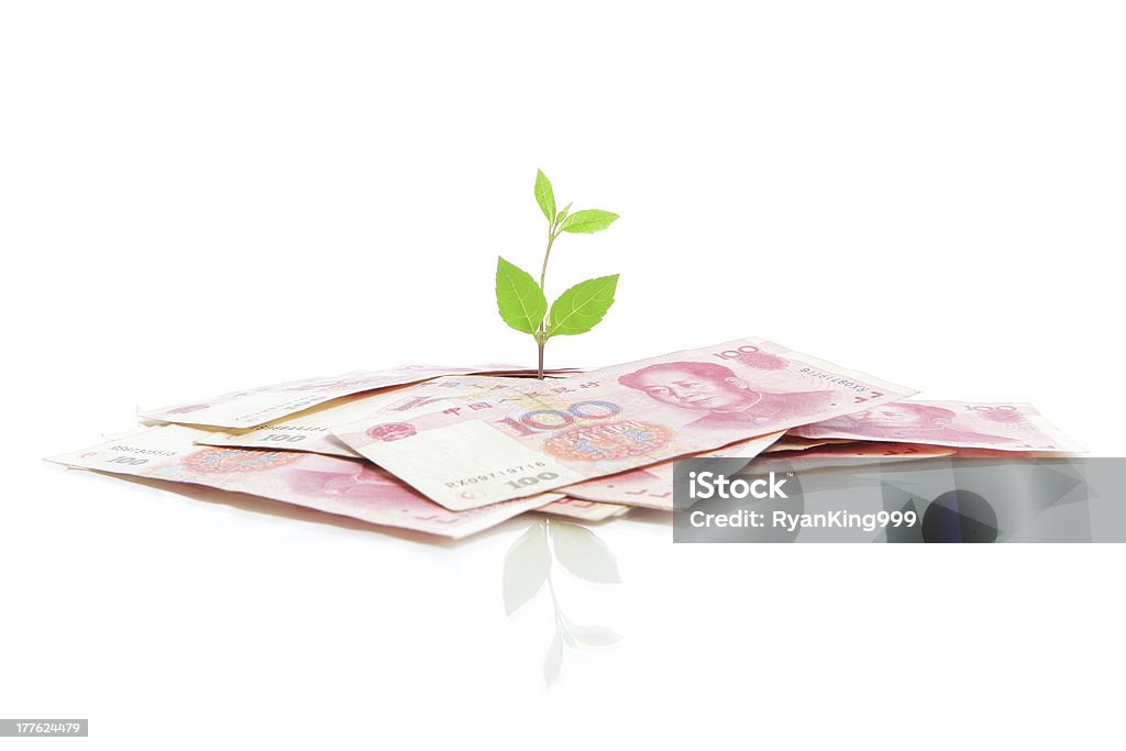 Planta Verde sobre el crecimiento de hoja - Foto de stock de Actividades bancarias libre de derechos