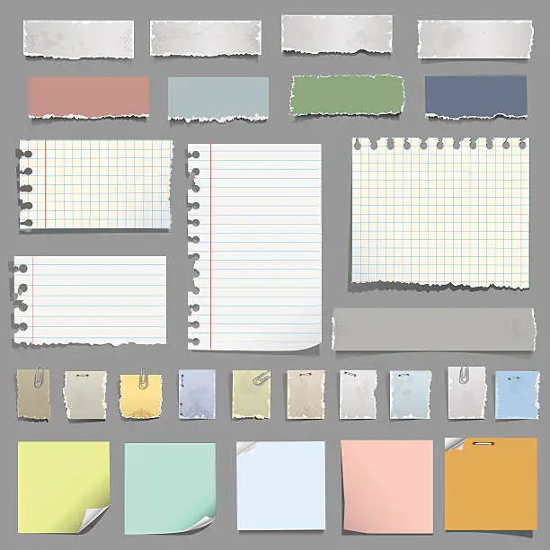 Vector illustration of Various notes paper