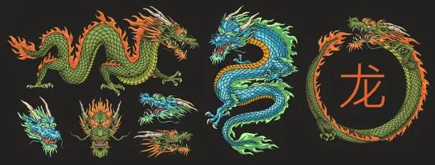 Vector illustration of Chinese dragons colorful set logotypes