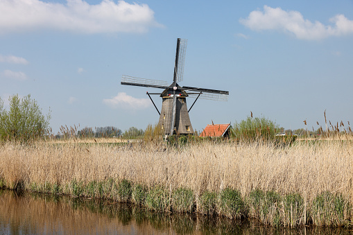 One of the 19 windmills at Kinderdijk in the Netherlands. Built about 1740, this is the largest concentration of windmills in the Netherlands, a UNESCO world heritage site.