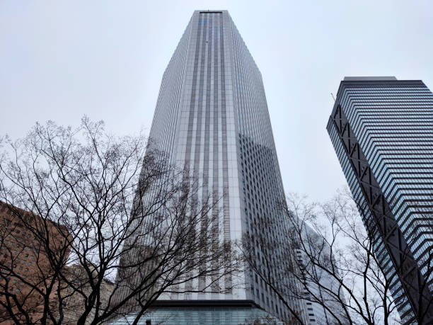 istock Shinjuku Building, Tokyo, Japan 1776258209