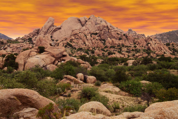istock Texas Canyon Sonora Desert Arizona 1776259314