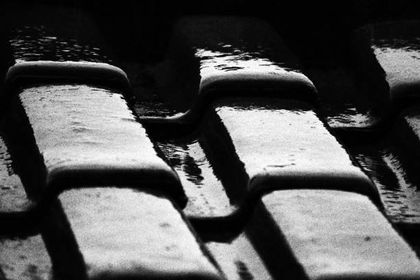 istock Wet Tiles. Monochromatic Black and White Tones 1776267251