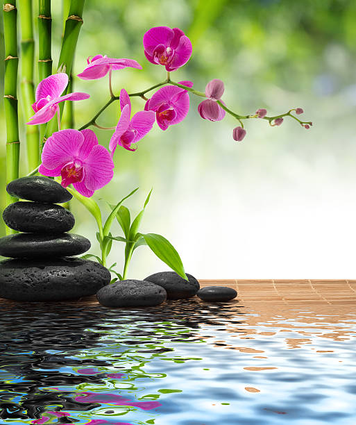 composition bamboo-purple orchid-black stones