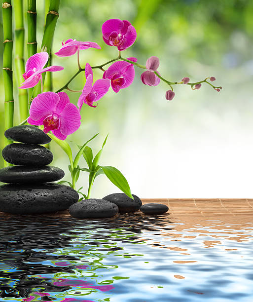состав бамбук-фиолетовые орхидеи черные камни - spa treatment health spa zen like bamboo стоковые фото и изображения