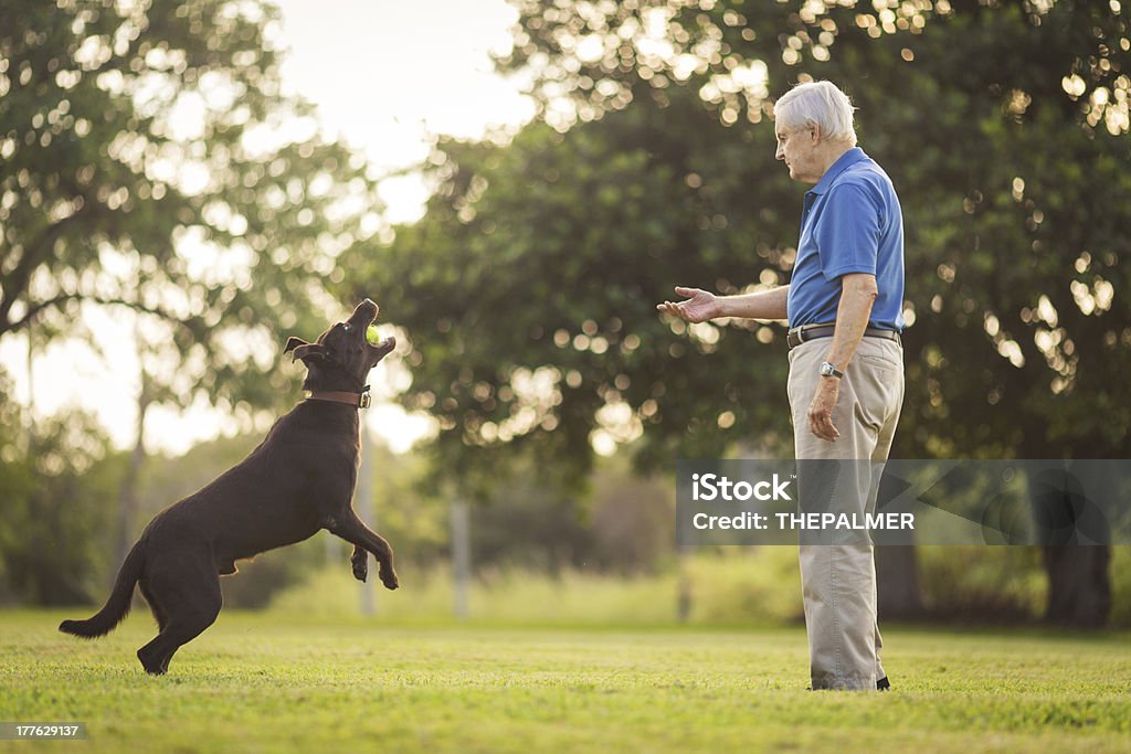 senior con cane - Foto stock royalty-free di Adulto