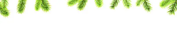 Vector illustration of Horizontal banner with frame of bright green fir branches and twigs on white background. Christmas holiday greeting card with space for text.