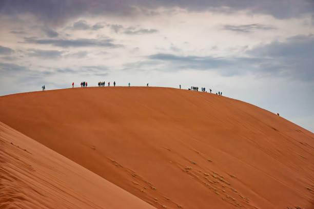 istock 45 sand dune in the Namib desert 1776337183