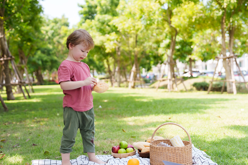 Adorable Caucasian boy was sitting on tied cloth in grass in village park, hungry for something to eat while enjoying play until was tired. boy picks fruit and bread to eat. family vacation Concept