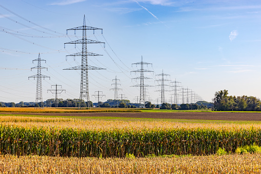 An agricultural field with corn with many overhead power poles and overhead lines in rural areas, Germany in the energy transition