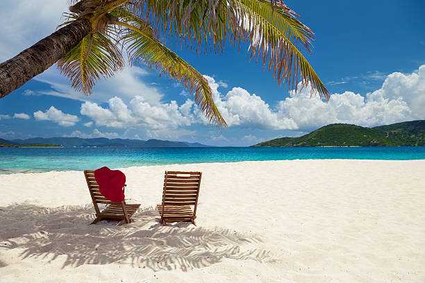 istock two chairs under a palm tree at the Caribbean beach 177635779