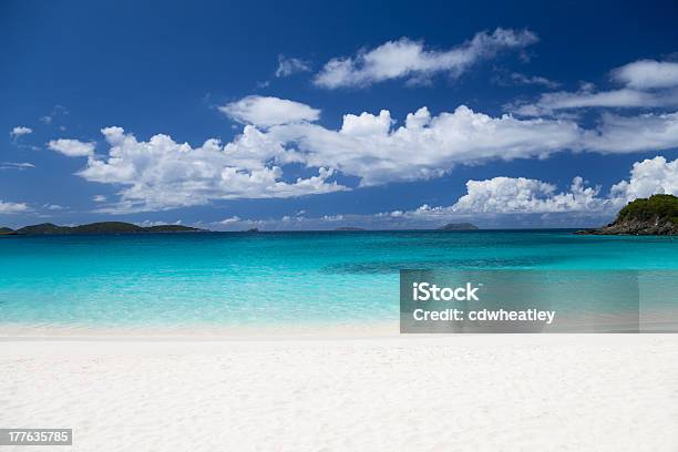 Perfect Beach Shoreline At Trunk Bay Stjohn Usvi Stock Photo - Download Image Now