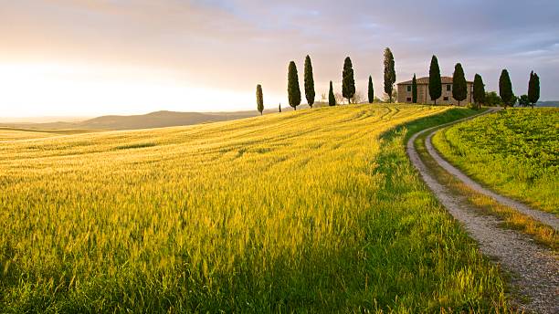 maison de ferme au coucher du soleil, toscane, italie - tuscany photos et images de collection