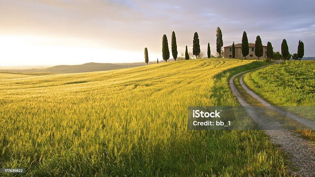 농가 in 해질녘까지-Tuscany, 이탈리아 - 로열티 프리 투스카니 스톡 사진