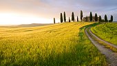 Farmhouse in sunset - Tuscany, Italy